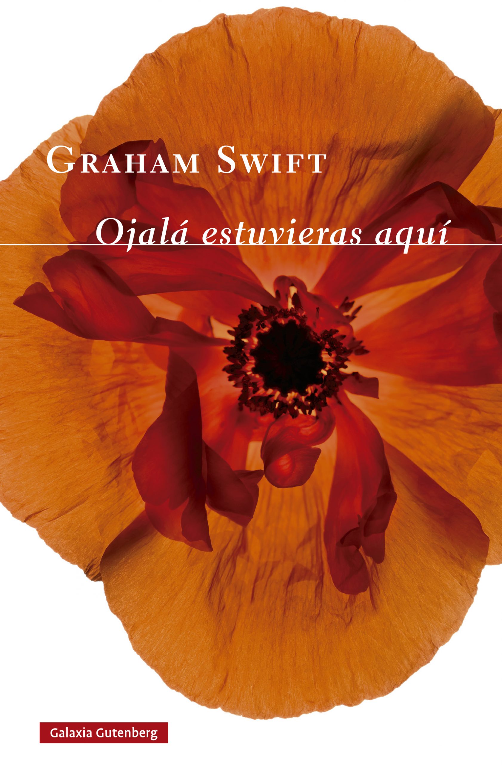 Ojalá estuvieras aquí