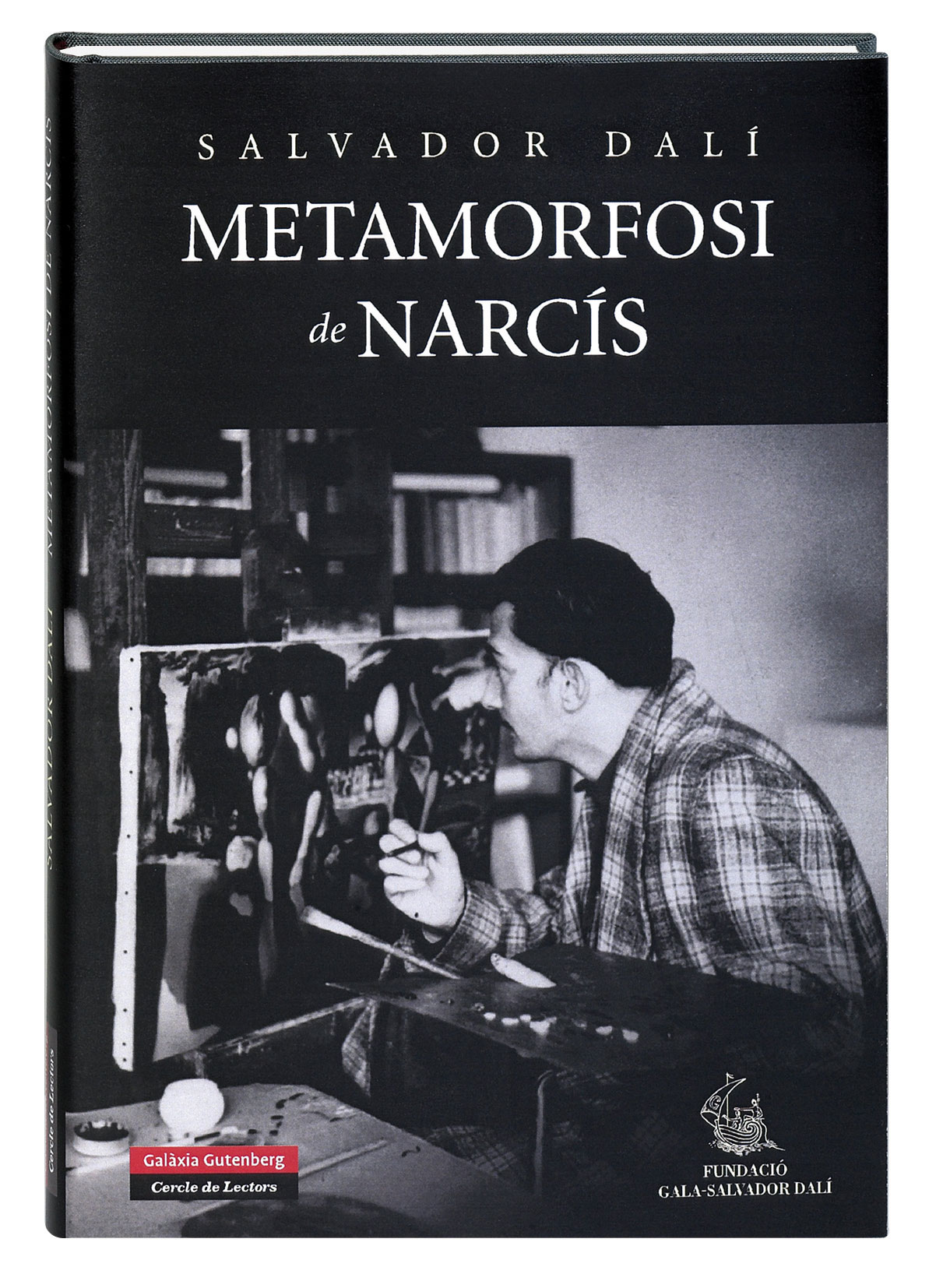 Metamorfosi de Narcís