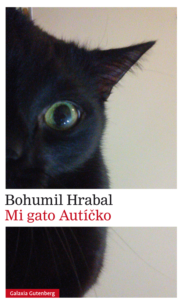 Mi gato Auticko